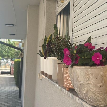 Vila Bolonja Struga Bagian luar foto