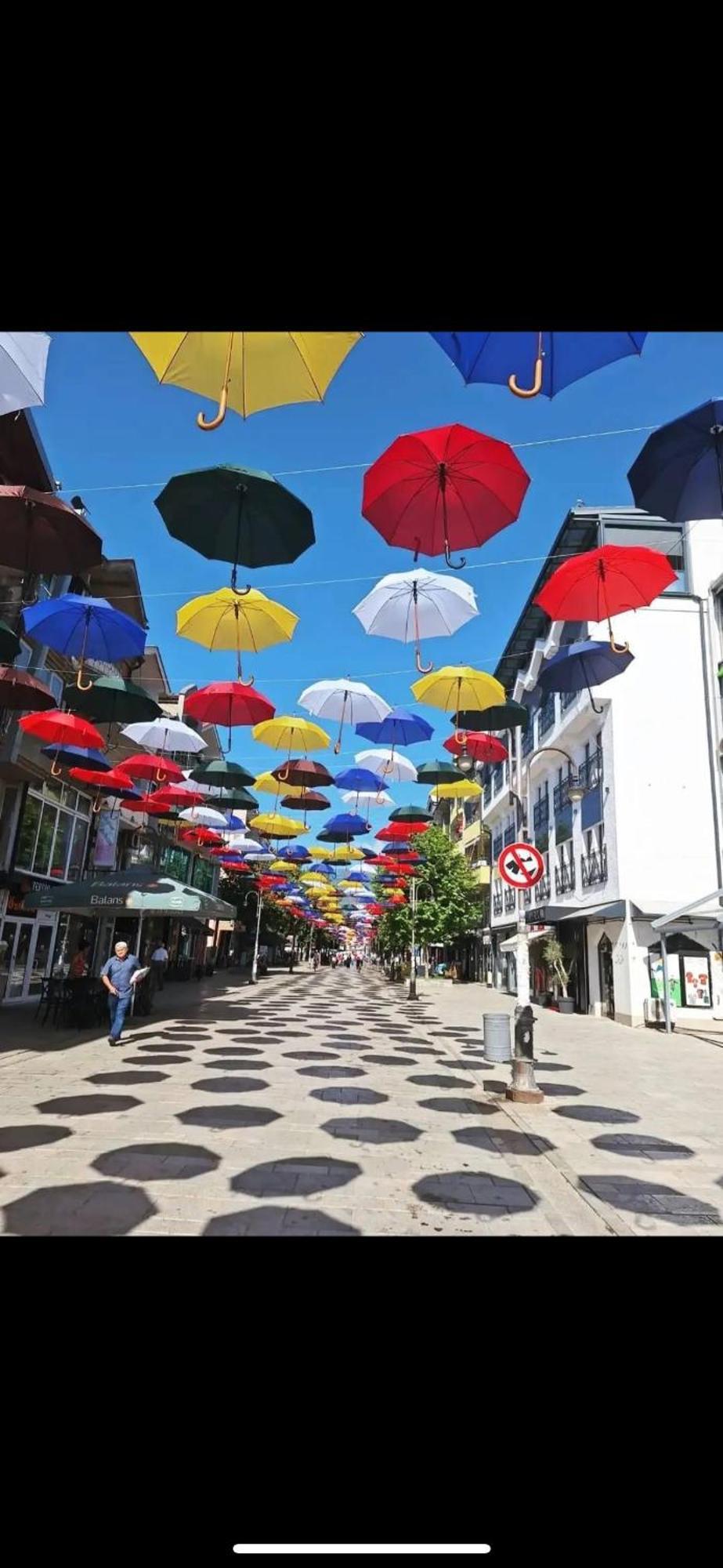 Vila Bolonja Struga Bagian luar foto